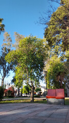 Only two seats in the park