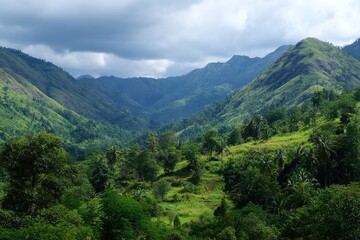 Obraz premium graffiti brick wall. High quality