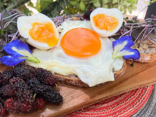 Boiled egg mixed salad with sourdough toast.