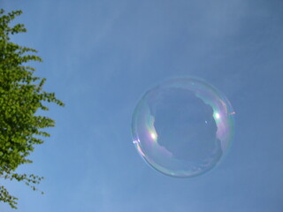 soap bubbles on blue sky background
