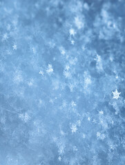 Macro photograpy of snowflakes. Background of winter fluffy snow texture.
