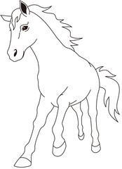 駆ける白馬　正面　モノクロ