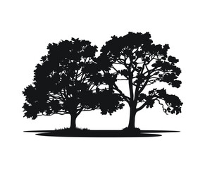 Nature Magnolia Tree Silhouette Collection Template