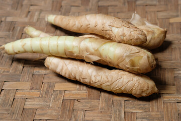 Angkrik or Maranta arundinacea plant, also known as or arrowroot. Its main benefit is as a natural remedy for treating stomach acid, ulcers, and other digestive disorders.