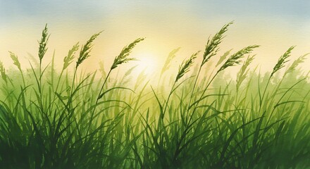 Golden Hour Grasses