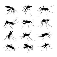 mosquito silhouette vector image collection