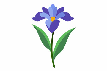 iris flower vector illustration, iris flower isolated 