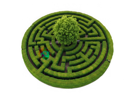 Green hedge maze with tree aerial view isolated on transparent background