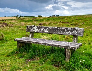 Fallen leaves on the ground in a park with colorful trees and wooden benches.
