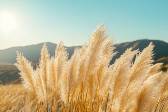 Golden grass swaying gently in the sunlit field, with distant mountains