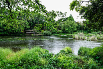 静岡県三島市の柿田川湧水群