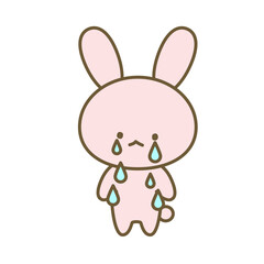 涙を流して泣くうさぎ　