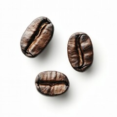 Three coffee beans, top view