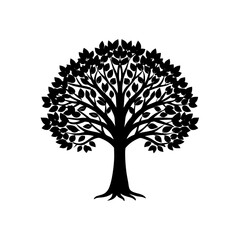 clove tree  .svg