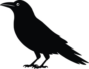 Obraz premium High Resolution Crow Silhouette Vector Graphic for Design Projects