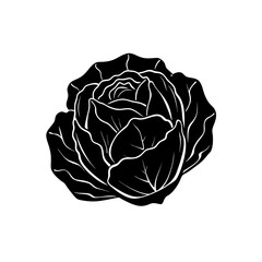 iceberg lettuce  .svg