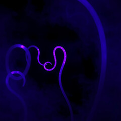 Abstract Neon Tendrils