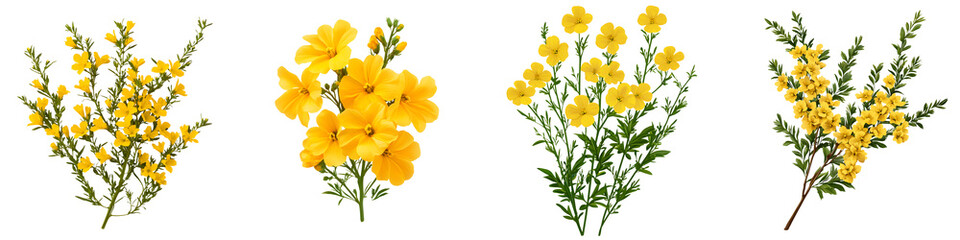 Vibrant yellow flowers beautifully arranged in delightful bouquets, showcasing different floral types, perfect for fresh floral designs, spring decorations, and lively arrangements