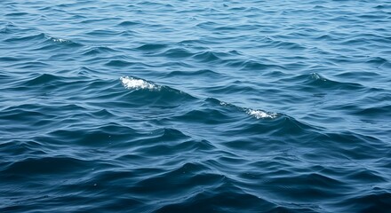 Naklejka premium Ocean's Whisper