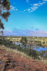 view of grasslands from werribee riverbank
