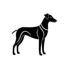 Obraz premium minimal anatolian dog drawing .svg