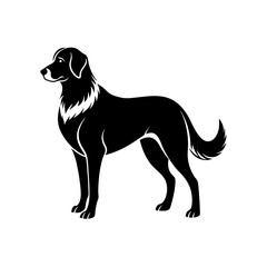 monochrome anatolian shepherd  .svg