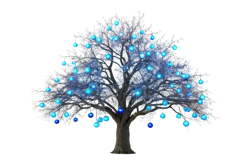 PNG Enchanted winter tree illuminated with glowing blue orbs against black background