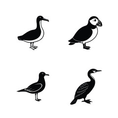 Simple birds set silhouette vector illustration icon