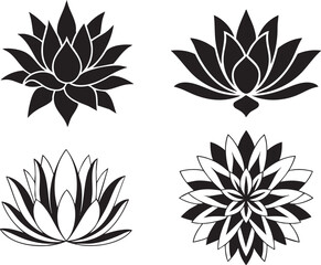 Lotus flower floral vector art design illustration graphic element