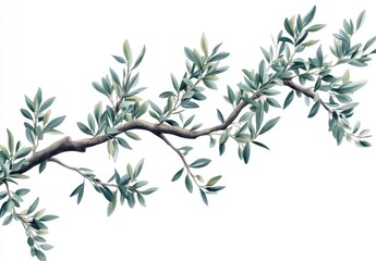 Obraz premium A branch with lush, detailed leaves. The elegant branch extends horizontally, showcasing vibrant green foliage