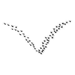 A silhouette of Flying bird Icon vector on a white background