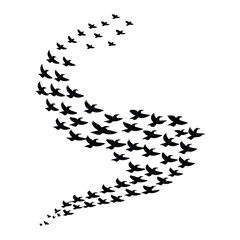 Obraz premium A silhouette of Flying bird Icon vector on a white background
