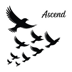 A silhouette of Flying bird Icon vector on a white background