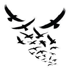 Obraz premium A silhouette of Flying bird Icon vector on a white background