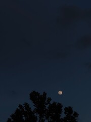 full moon in the sky