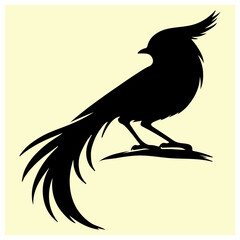 A black silhouette of a Red-tailed