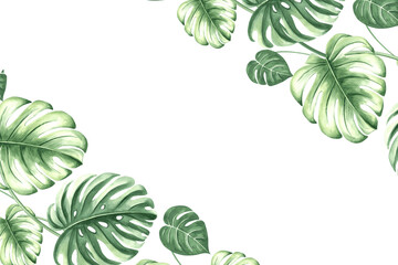 Watercolor frame of tropical palm leaves illustration isolated. Postcard template from exotic plant. Hand drawn greenery foliage monstera in realistic style. Botanical corner border with copy space. © susie_p_art