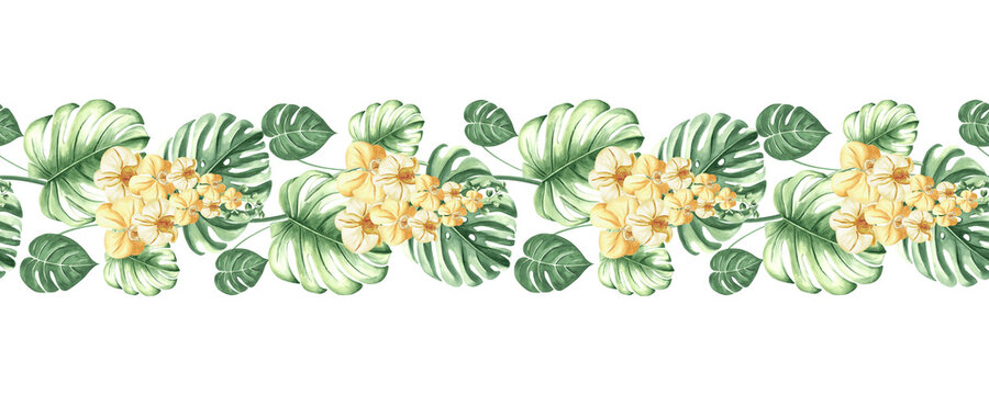 watercolor tropical flowers and leaves border clip art preview