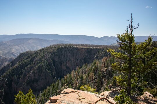Summit vista from Hermit Peak, NM