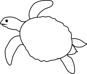 turtle