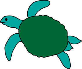 turtle