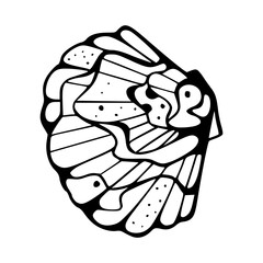 marine mollusk vector design