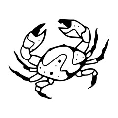 marine arthropod vector design