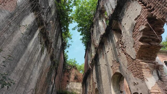 Ancient palace ruins with intricate carvings and weathered brick architecture overgrown with vegetation, Rajnagar palatial complex, Rajnagar, Bihar, India