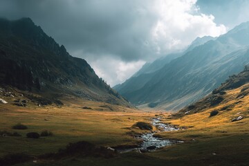 Set of floral universal artistic templates. Good for greeting cards, invitations, flyers and other graphic design. High quality