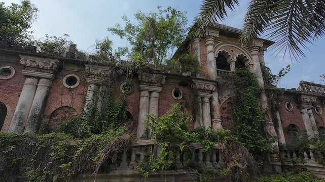 Ancient palace ruins with intricate carvings and weathered brick architecture overgrown with vegetation, Rajnagar palatial complex, Rajnagar, Bihar, India