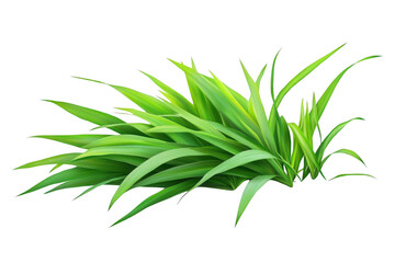 Fototapeta premium Bright Green Plant Leaves Growing With Vitality and Fresh Look
