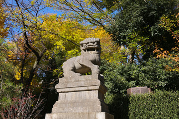 Stone Lion Statue in a Lush Autumn Forest Setting, Tokyo Dec 7 2024