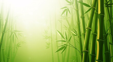 Serene Bamboo Forest Lush Green Bamboo Grove in Misty Sunlight