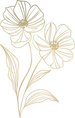 Golden Flower Lineart  Illustration